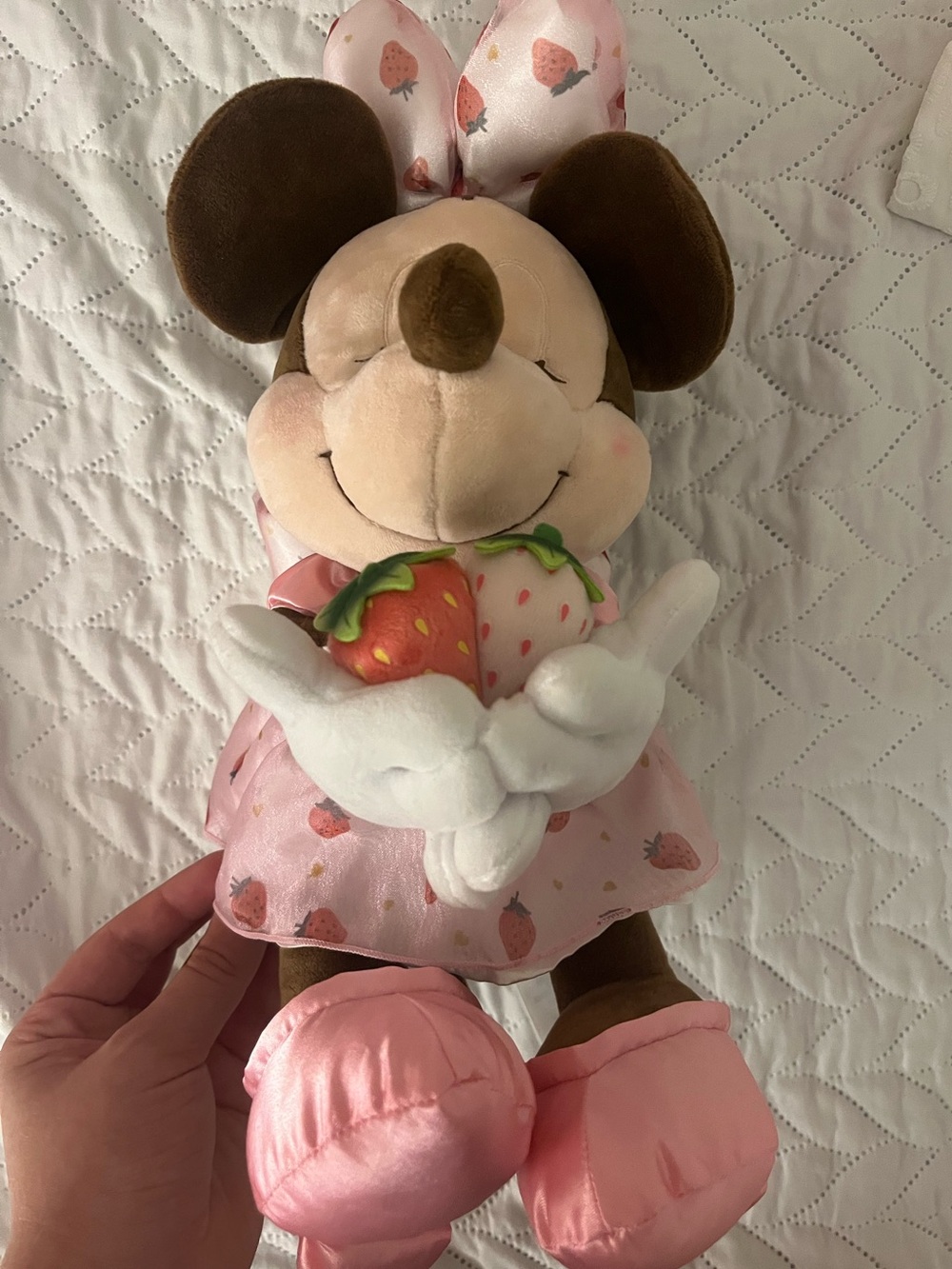 Disney Japan Minnie Mouse Plush š©·š©·